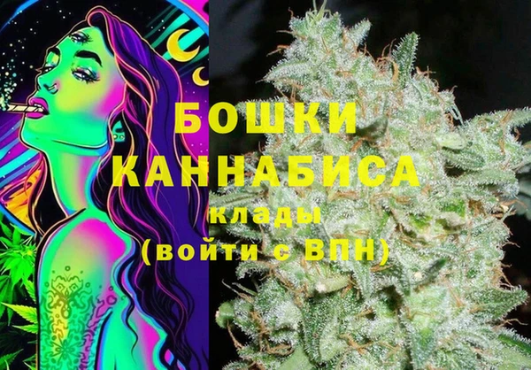 шишки Переславль-Залесский