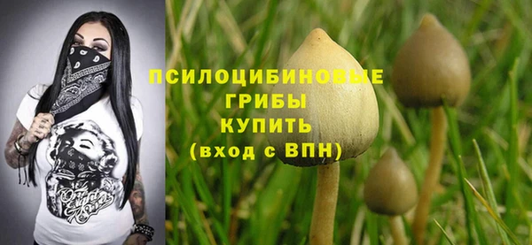 круглые Аркадак