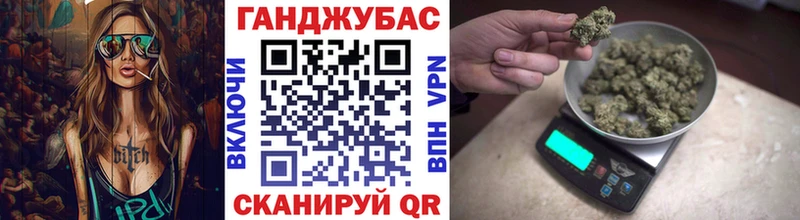 купить   Пугачёв  Конопля конопля 